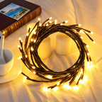 LED Willow Vine Light
